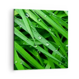 Obraz na plátne - Hrajte na zelenú - 60x60 cm