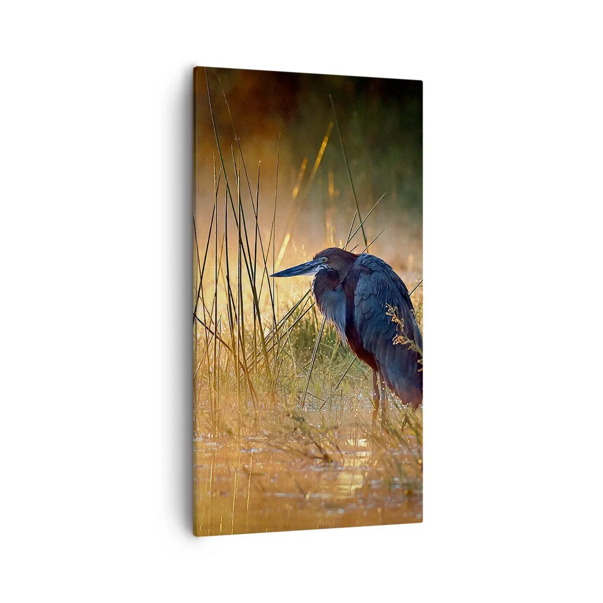 Obraz na plátne - Ušetrite ma tých fotiek - 55x100 cm