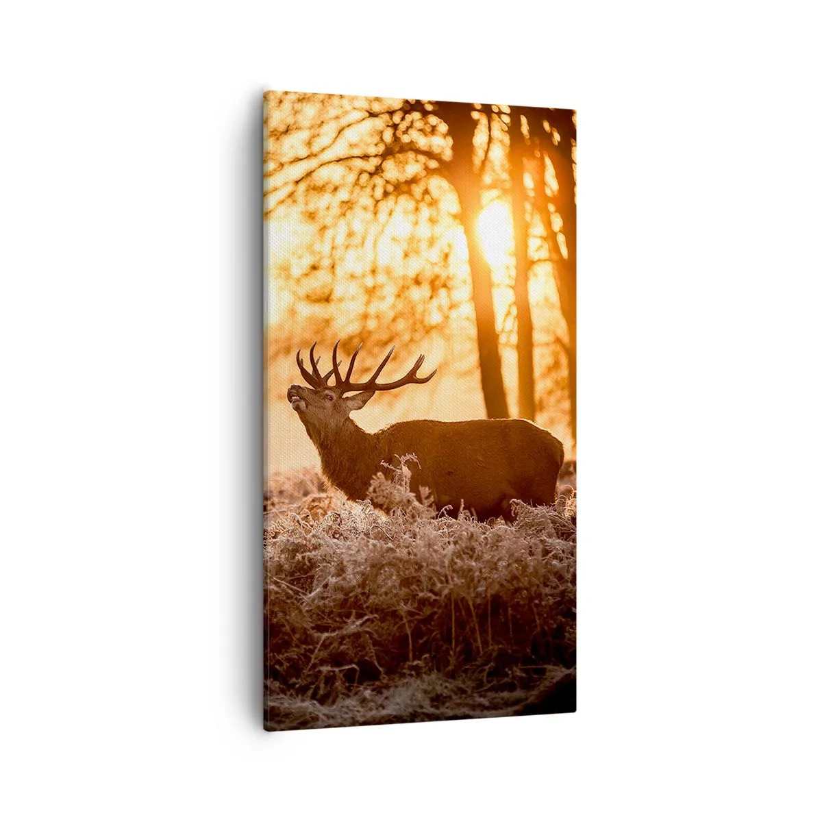 Obraz na plátne - Sen poľovníka - 55x100 cm