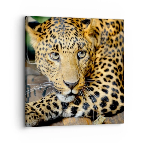 Obraz na plátne - Neboj sa, prístup - 30x30 cm