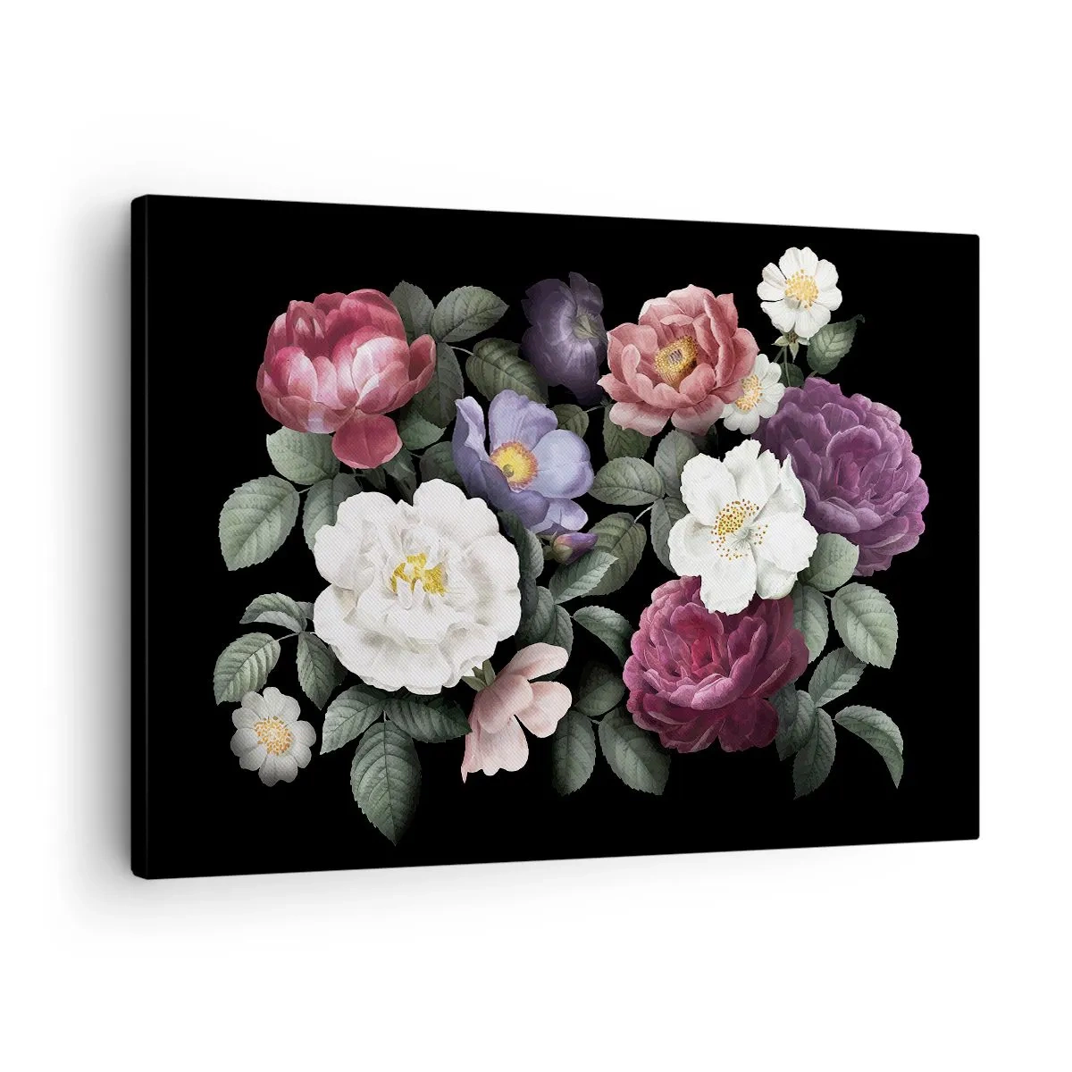 Obraz na plátne - Kvety v rôznych farbách na čiernom pozadí - 70x50cm - Z anglickej záhrady - Moderná nástenná dekorácia do obývacej izby a spálne ARTTOR