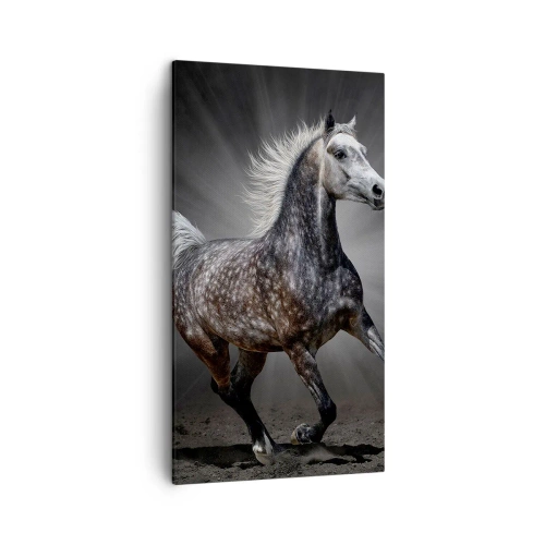 Obraz na plátne - Sivé je krásne - 45x80 cm
