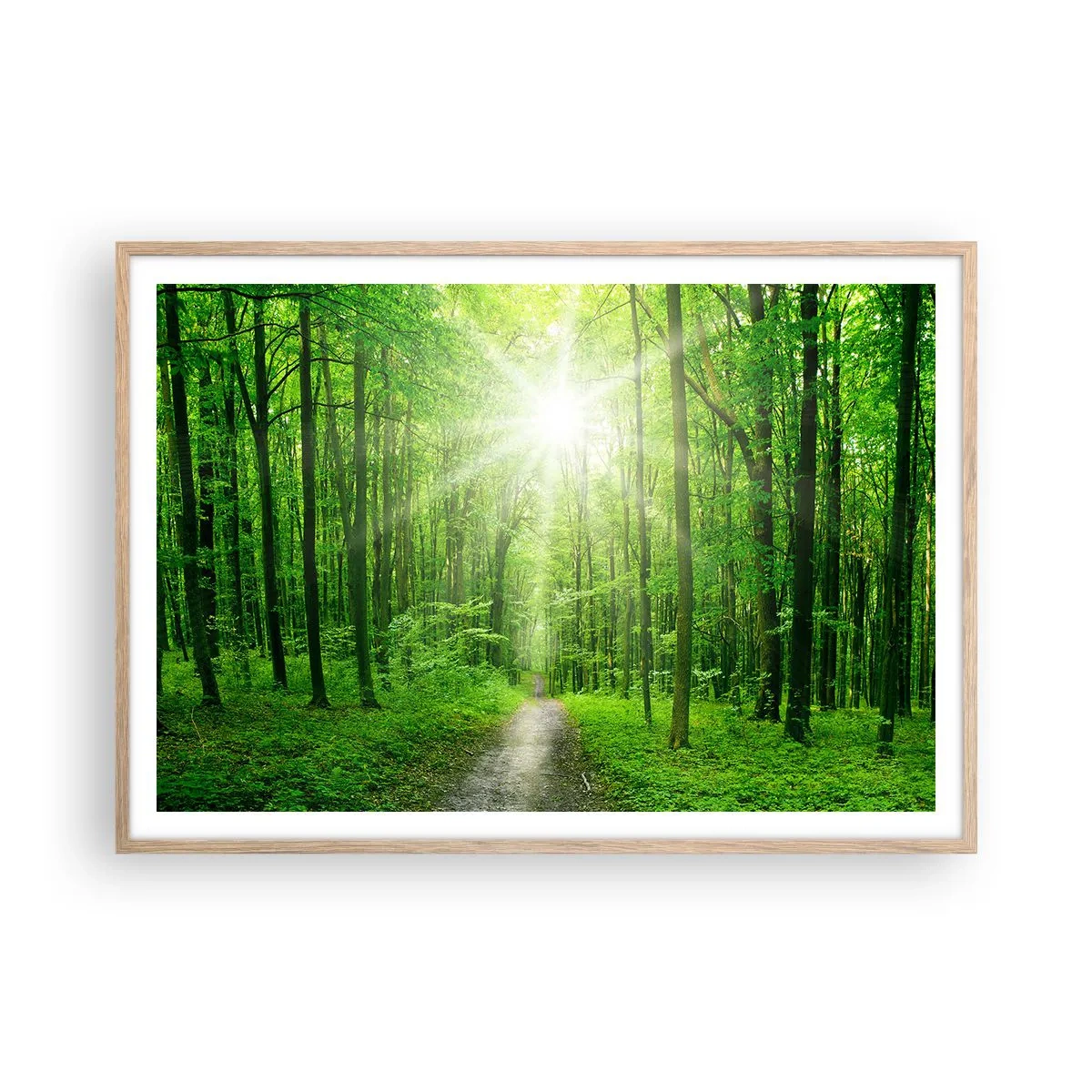 Plagát v ráme zo svetlého duba - Zelená katedrála - 100x70 cm