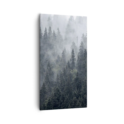 Obraz na plátne - Lesné svitania - 55x100 cm