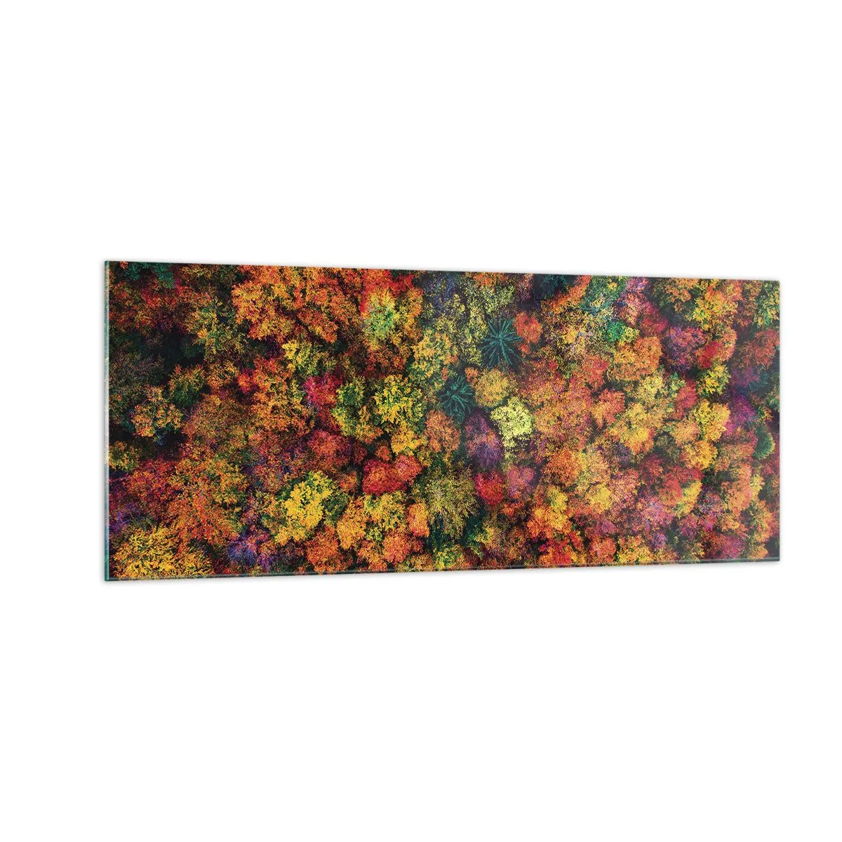 Obraz na skle - Kytica jesenných stromov - 100x40 cm