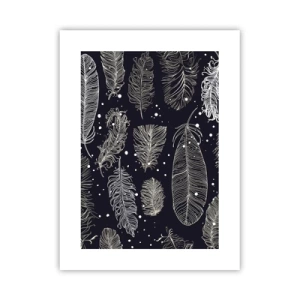 Plagát - Čipka s perím - 30x40 cm