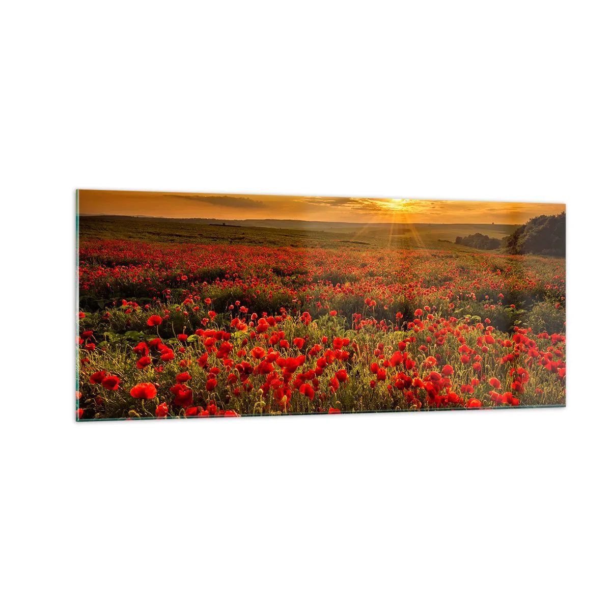 Obraz na skle - Medzi vlnami šumiacich lúk, medzi záplavou kvetov - 100x40 cm