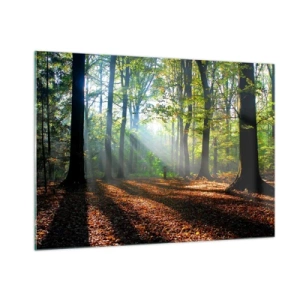 Obraz na skle - Svetlá a tiene - 100x70 cm