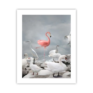 Plagát - Kde som sa tu vzal? - 40x50 cm