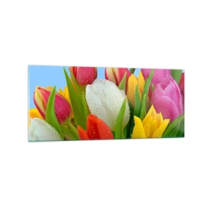 Obraz na skle - Kvetinová dúha v kvapkách rosy - 120x50 cm