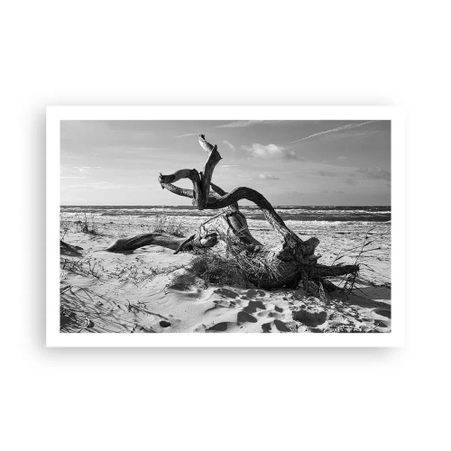 Plagát - Morská socha - 91x61 cm