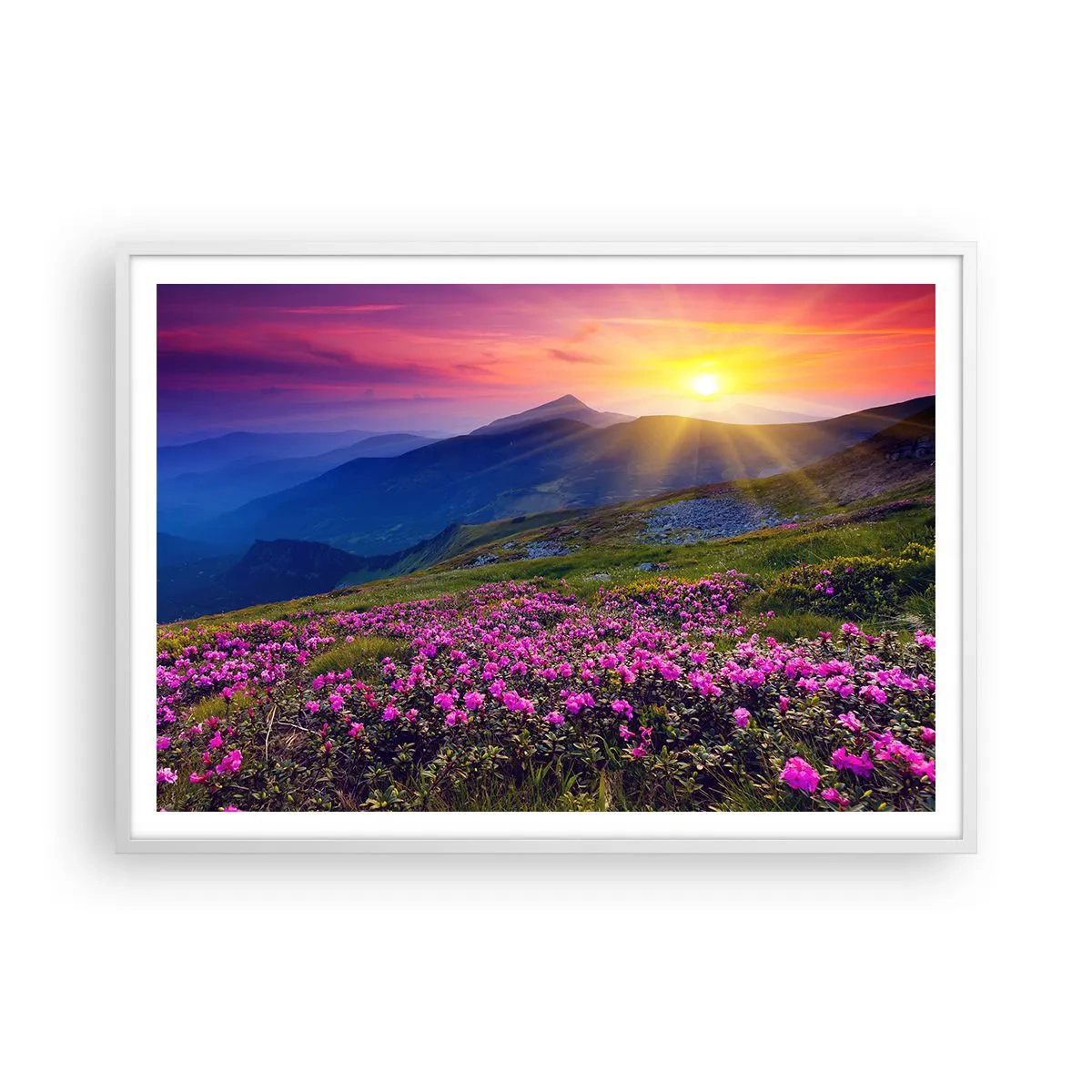 Plagát v bielom ráme - …A okolo vonia kosodrevina a voňajú byliny - 100x70 cm