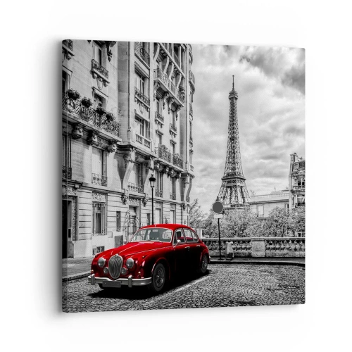 Obraz na plátne - Dravec v meste - 30x30 cm