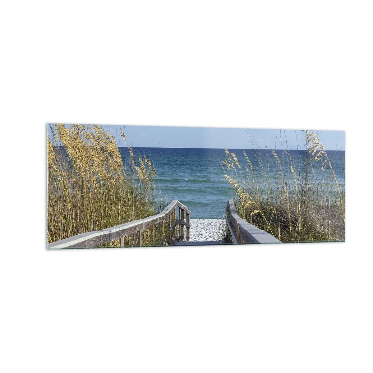 Obraz na skle - Na slnku, vo vetre - 140x50 cm