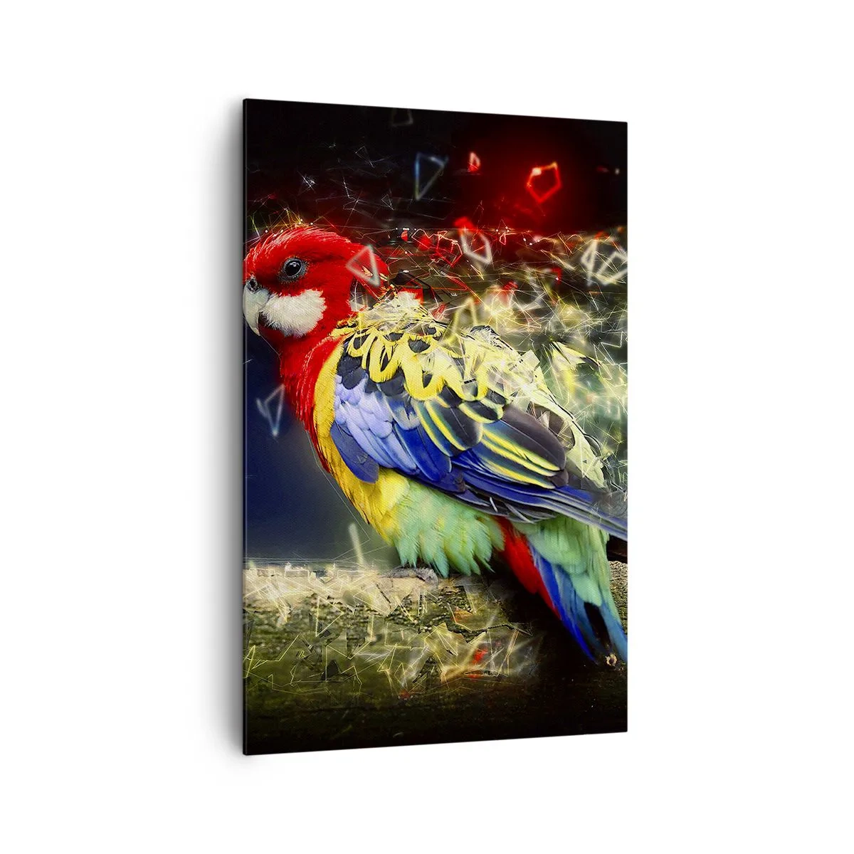 Obraz na plátne - Posol žiary - 80x120 cm