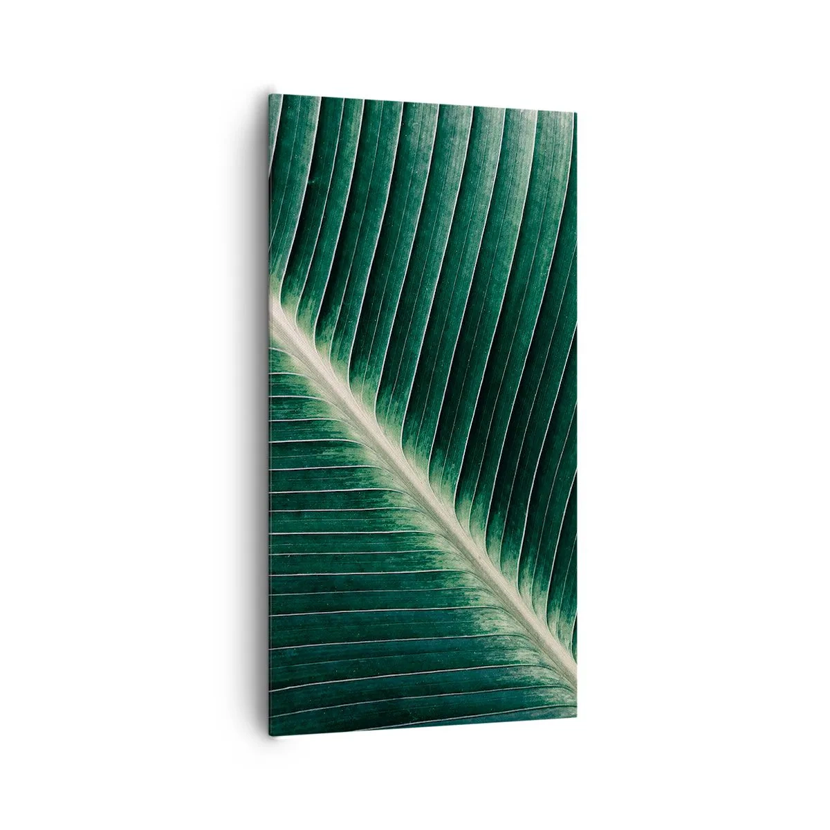 Obraz na plátne - Rytmus prírody - 65x120 cm