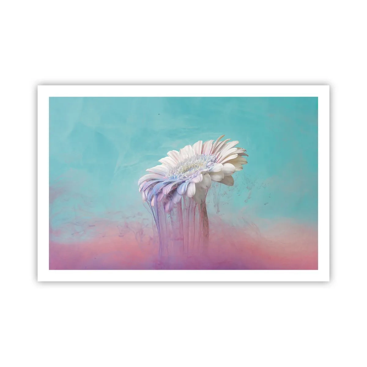 Plagát - Záhrobia kvetín - 91x61 cm