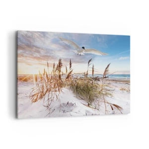 Obraz na plátne - Vietor od mora - 100x70 cm