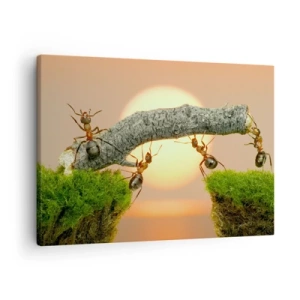 Obraz na plátne - Mravce stavajú most z konárov na pozadí zapadajúceho slnka. - 70x50cm - Radostná, spoločná práca - Moderná nástenná dekorácia do obývacej izby a spálne ARTTOR
