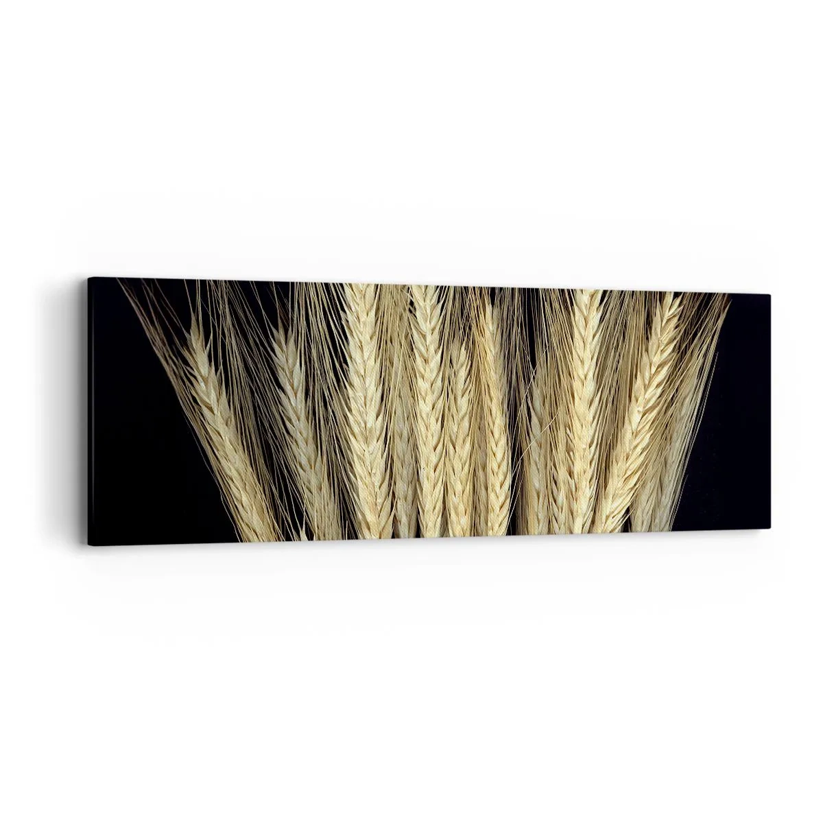 Obraz na plátne - Rustikálna mágia - 90x30 cm