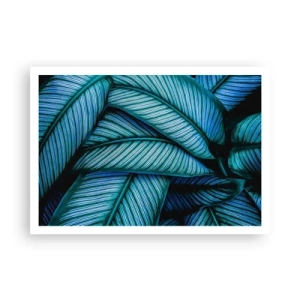 Plagát - Čiary života - 100x70 cm