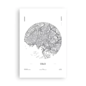 Plagát - Anatómia Osla - 61x91 cm