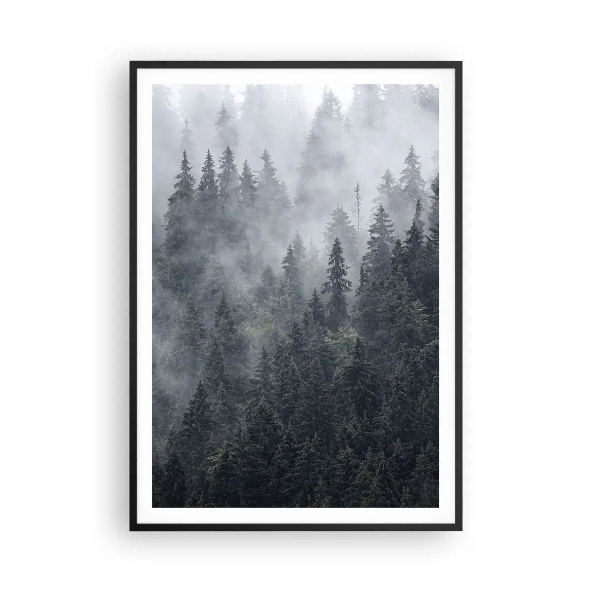 Plagát v čiernom ráme - Lesné svitania - 70x100 cm