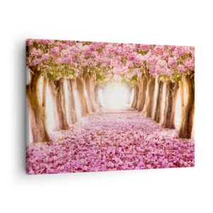 Obraz na plátne - Alej kvitnúcich stromov v odtieňoch ružovej - 70x50cm - Cesta do raja - Moderná nástenná dekorácia do obývacej izby a spálne ARTTOR