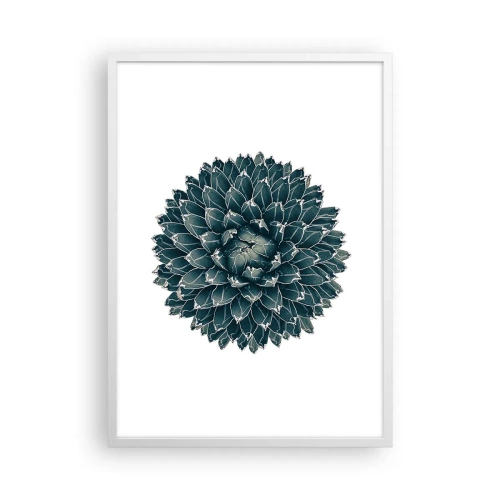 Plagát v bielom ráme - Hviezda púšte - 50x70 cm