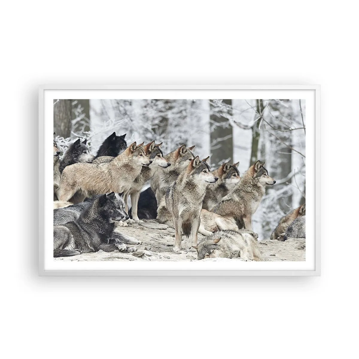 Plagát v bielom ráme - Rodina a priatelia - 91x61 cm