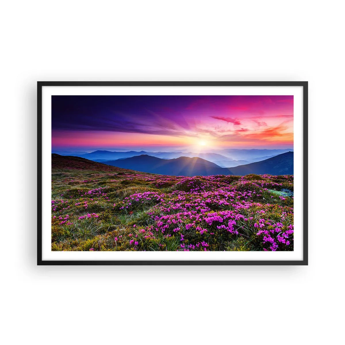 Plagát v čiernom ráme - Zavoňali svieže púčiky byliniek z obilných polí - 91x61 cm