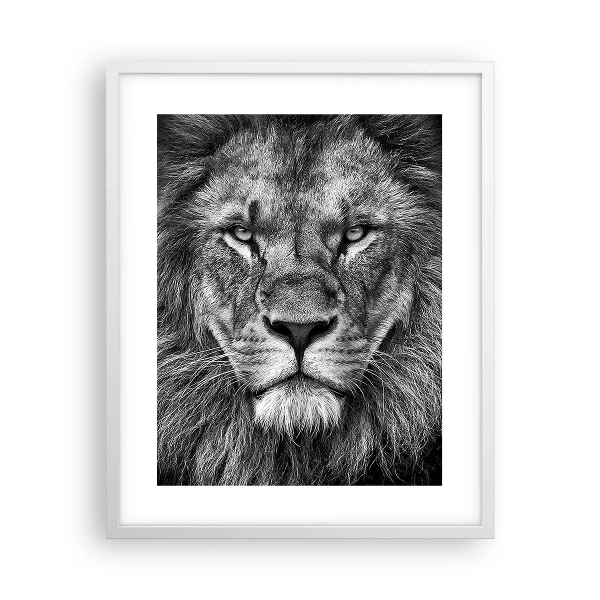 Plagát v bielom ráme - V korunovačnom odeve - 40x50 cm