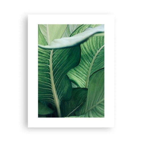 Plagát - Intenzívne zelený život - 30x40 cm