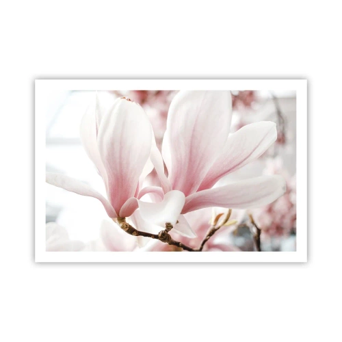 Plagát - Nesmiernosť nežnosti - 91x61 cm