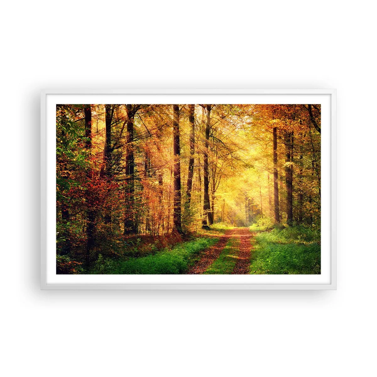 Plagát v bielom ráme - Lesno-zlaté ticho - 91x61 cm