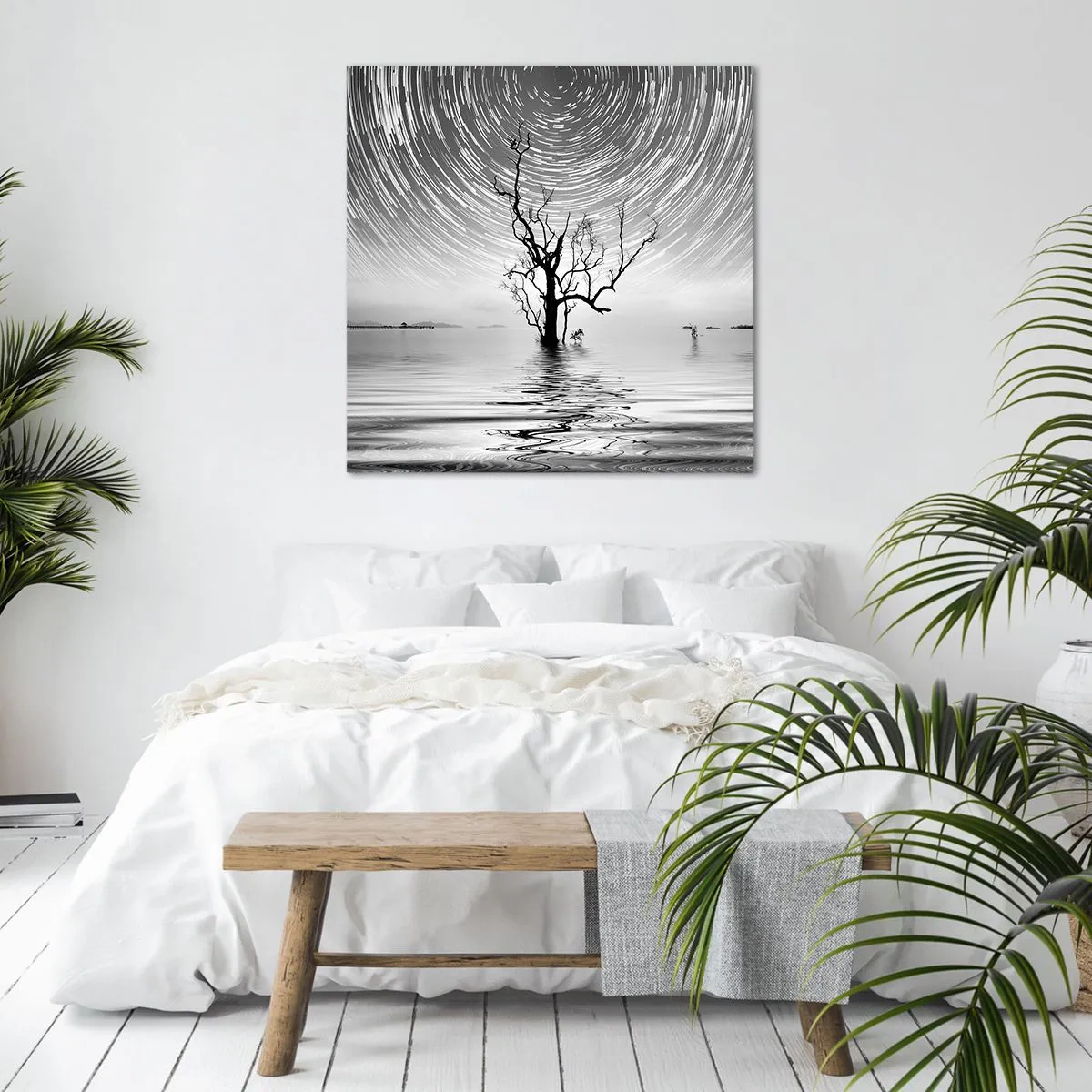 Obraz na plátne - Symfónia prírody - 60x60 cm