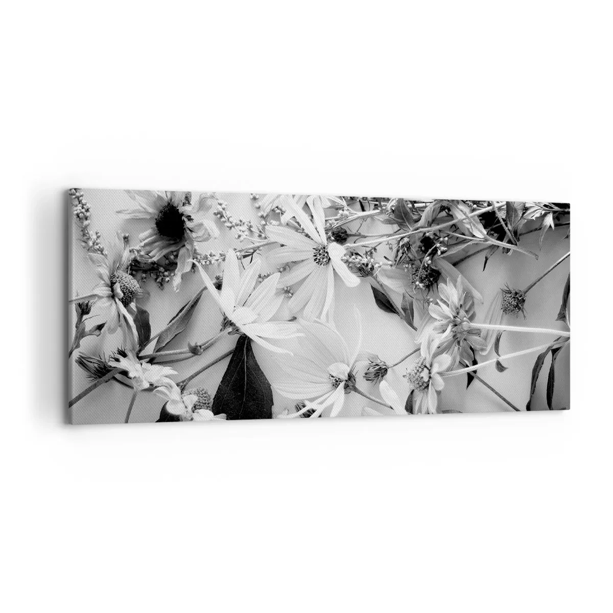 Obraz na plátne - Kvety bez kytice - 120x50 cm