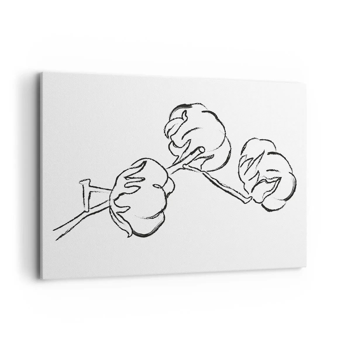 Obraz na plátne - Bavlnené páperie - 100x70 cm