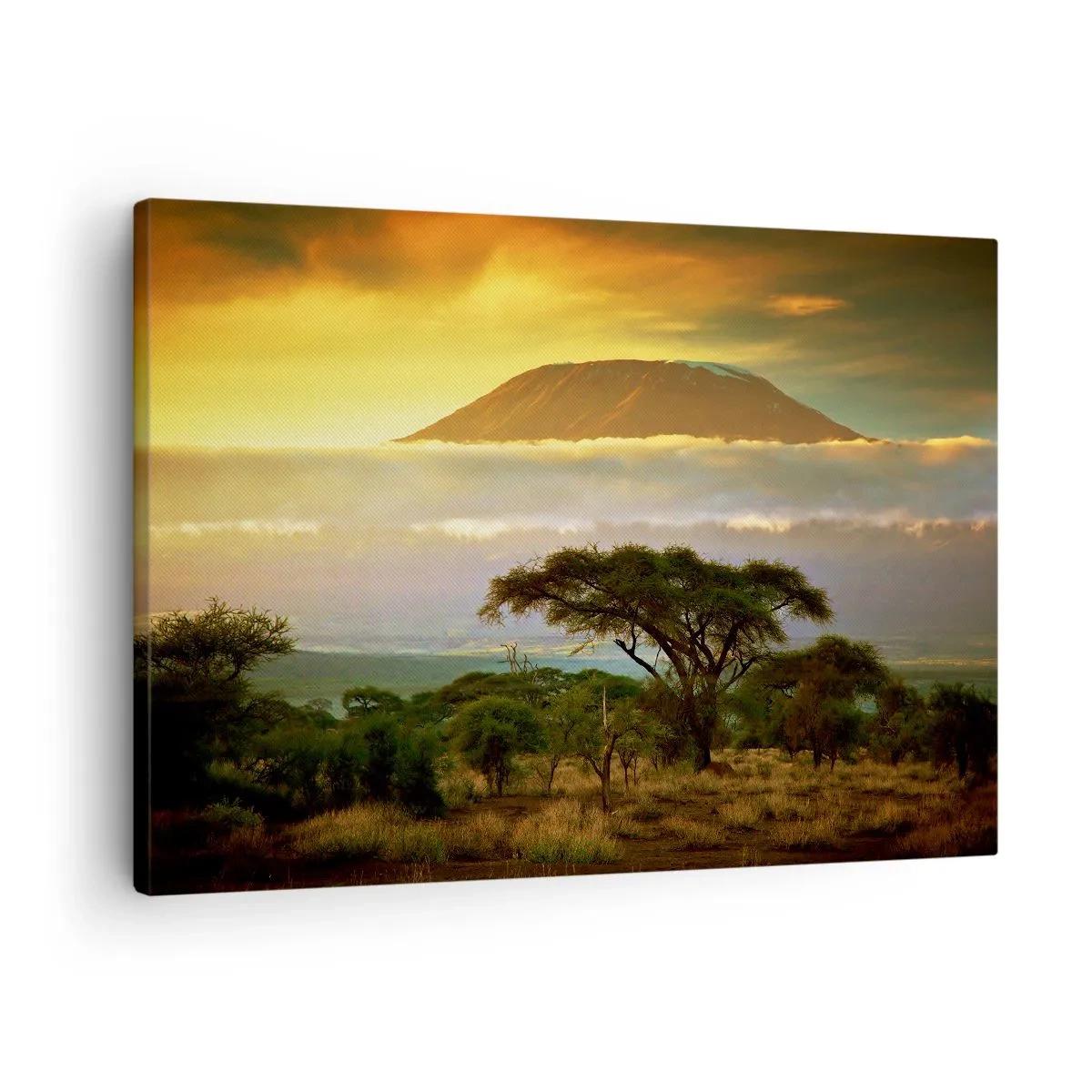 Obraz na plátne - Africká krajina s Kilimandžárom pri východe slnka - 70x50cm - Sen cestovateľa - Moderná nástenná dekorácia do obývacej izby a spálne ARTTOR
