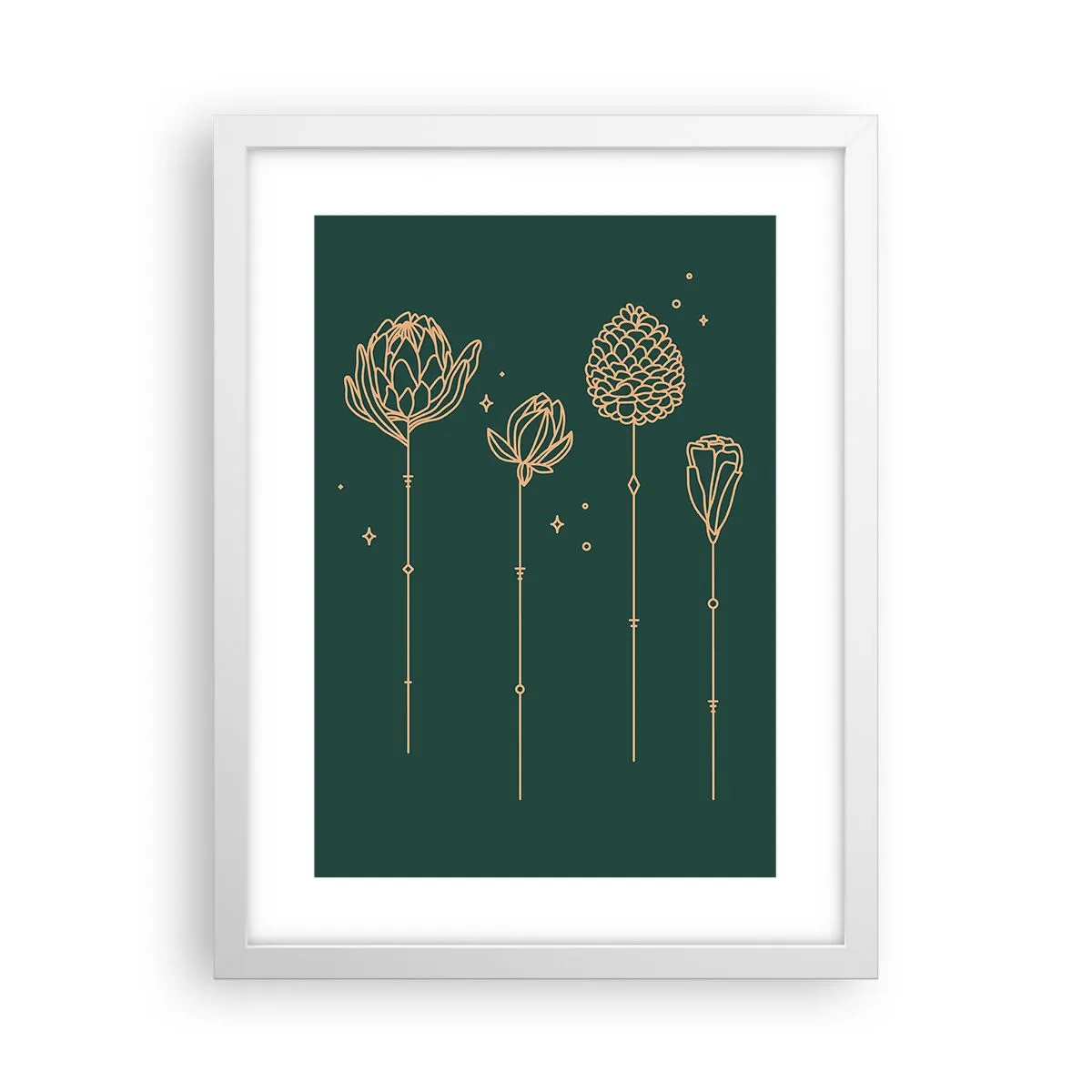 Plagát v bielom ráme - Bylinky - 30x40 cm