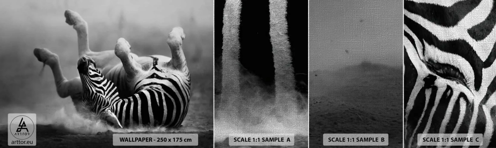 Vzorka fototapety Premium Canvas - Je to na roztrhanie - Zvieratá, Rebrá, Príroda - 100x30 cm