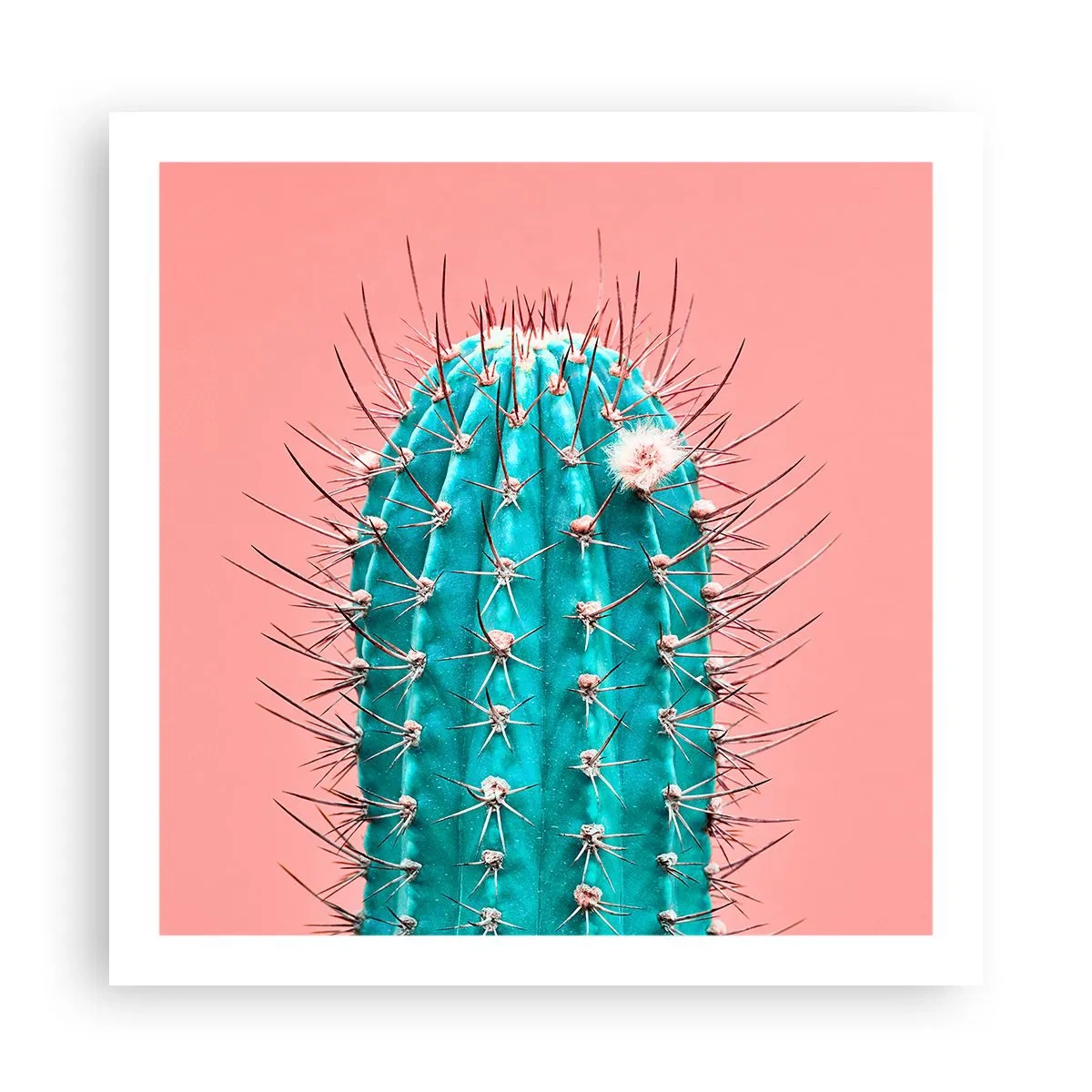 Plagát - Len pozeraj - 60x60 cm