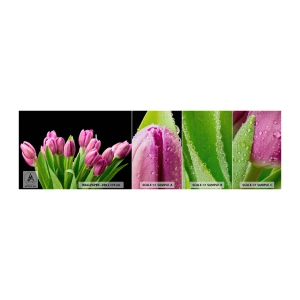 Vzorka fototapety Premium Canvas - Ľaliové potešenie jari - Kvety, Tulipány, Kytica kvetov - 100x30 cm