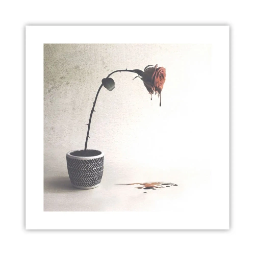 Plagát - Rosa dolorosa - 40x40 cm
