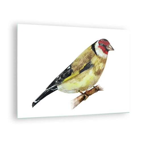 Obraz na skle - Akvarelový vták na konári v jemných farbách - 70x50cm - Vtáčí portrét - Moderná nástenná dekorácia do obývacej izby a spálne ARTTOR