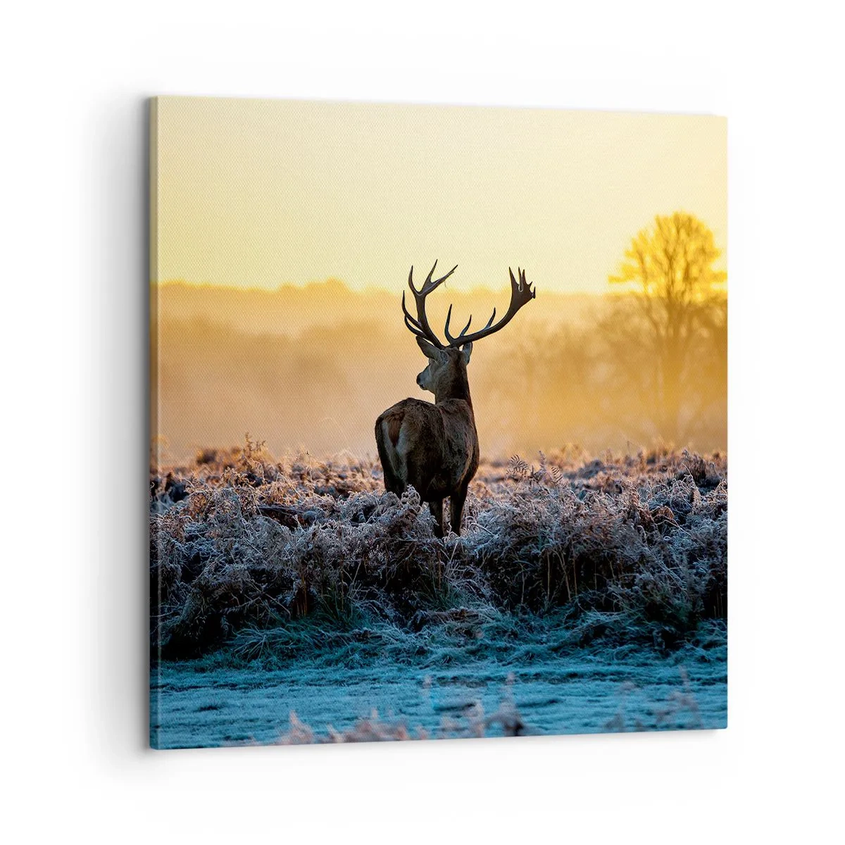 Obraz na plátne - Korunovaný na svojom panstve - 60x60 cm