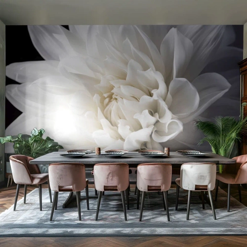 Fototapeta Premium Canvas - Ráno s nevestou - Kvetina, Dahlia, Príroda - 350x256 cm