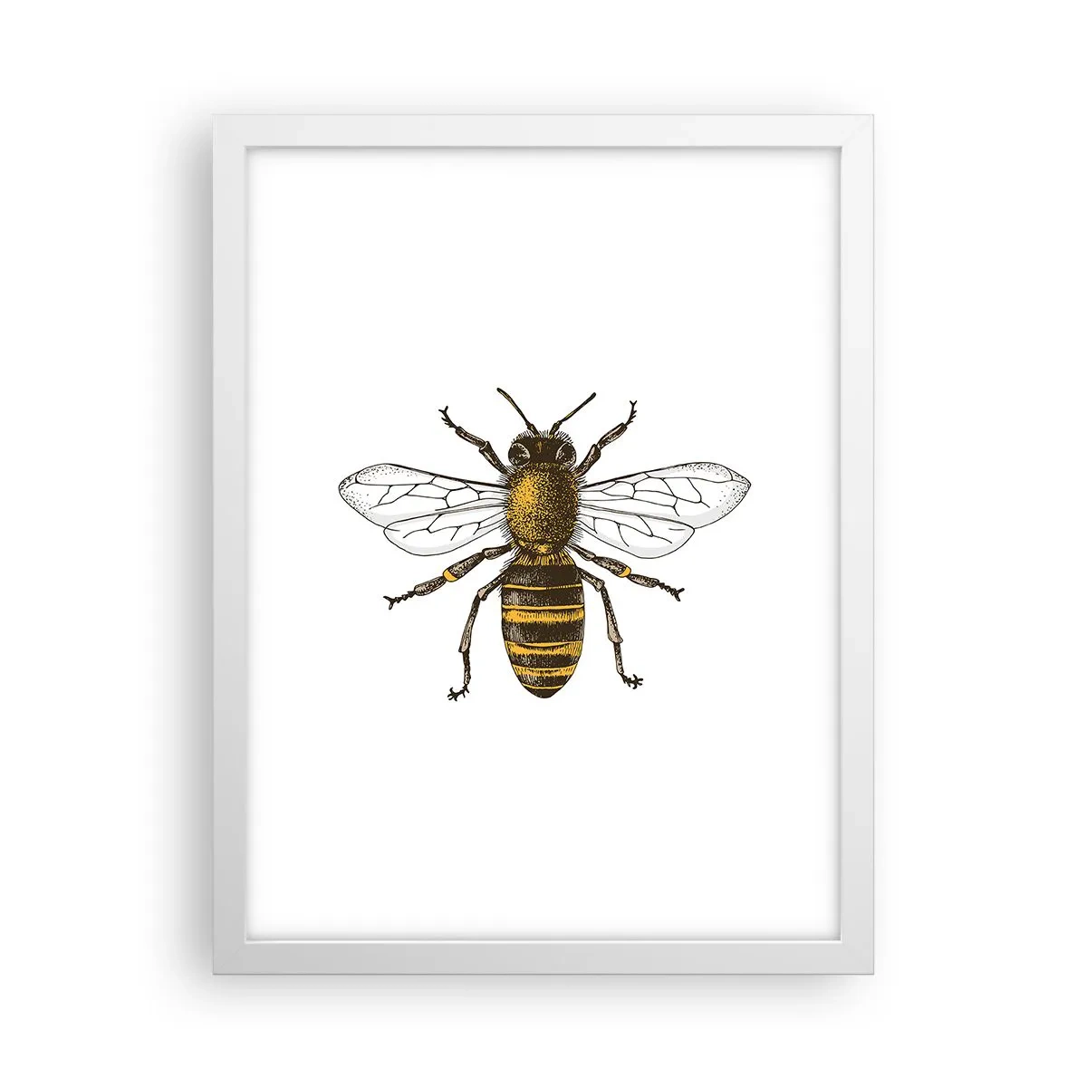 Plagát v bielom ráme - Krásna a dobrá - 30x40 cm