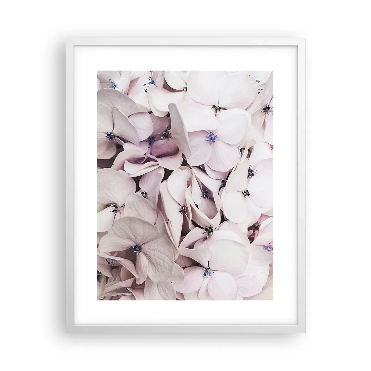 Plagát v bielom ráme - V záplave kvetov - 40x50 cm
