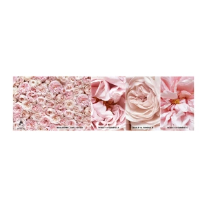Vzorka samolepiacej fototapety Deluxe Sticker - Vydláždená ružami - Kvety, Pastel, ruže - 100x30 cm
